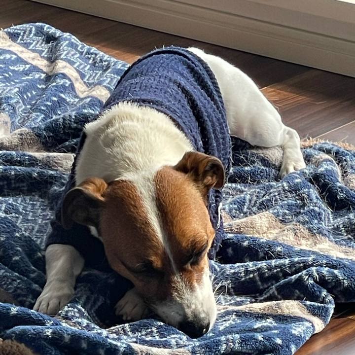 2d004817 b627 4fcc bcb2 ce9dd2e5e3e0 1646701381468