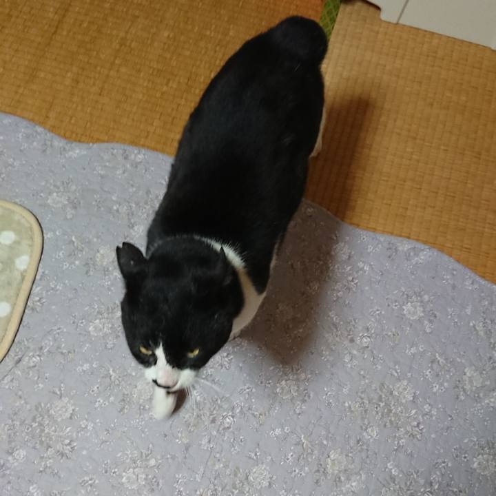 2d006dd7 ad52 4f7c 9cd5 5029ca958a4f 1554262751525