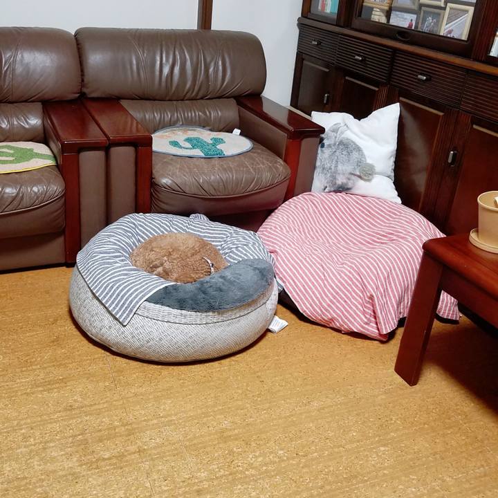 2d009583 639a 40a2 8079 2dd37d2e1740 1566923857006