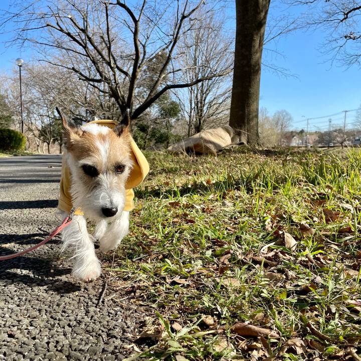 2d00b1f4 796e 448c 88f1 624f50a06122 1677565224117