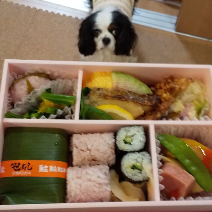 2d00bb7f 62f0 42a8 a4e0 ec5209018d20 1583322966139