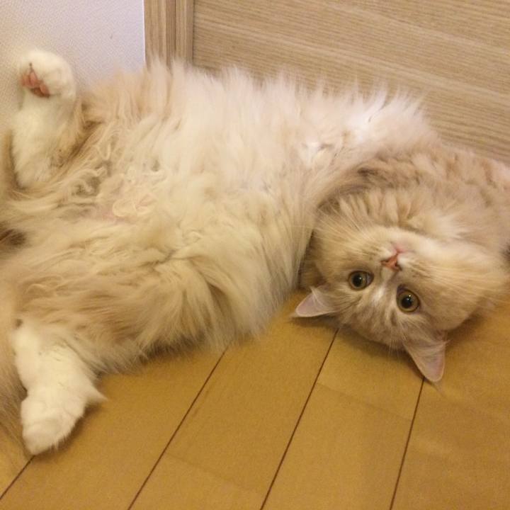 2d00e04b a190 4fa7 9ec7 3946e9bc689a 1626789141069