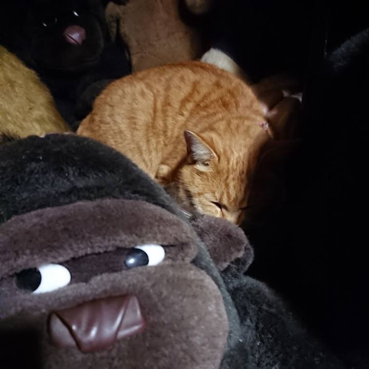 2d00f9d8 4392 4797 ba0a f131a7c1772b 1606213783152