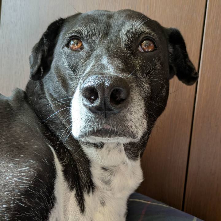 2d00fc16 1b01 4a28 928a 7eb92c0f8aa0 1764889472341