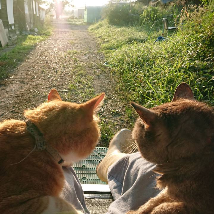 2d0112c0 0484 4617 bb09 d2adde47c3fe 1597354436313