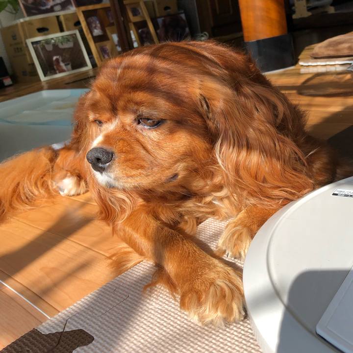 2d0136a1 1445 417d 8550 5eaa607e356d 1632528161229