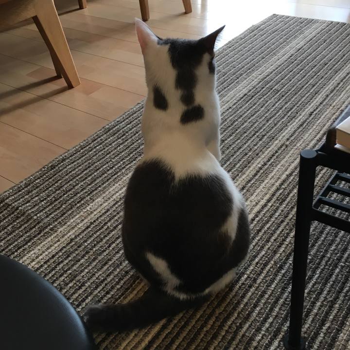 2d0149ac 7efe 43fb 80e3 a7ce8eac247f 1512616370187