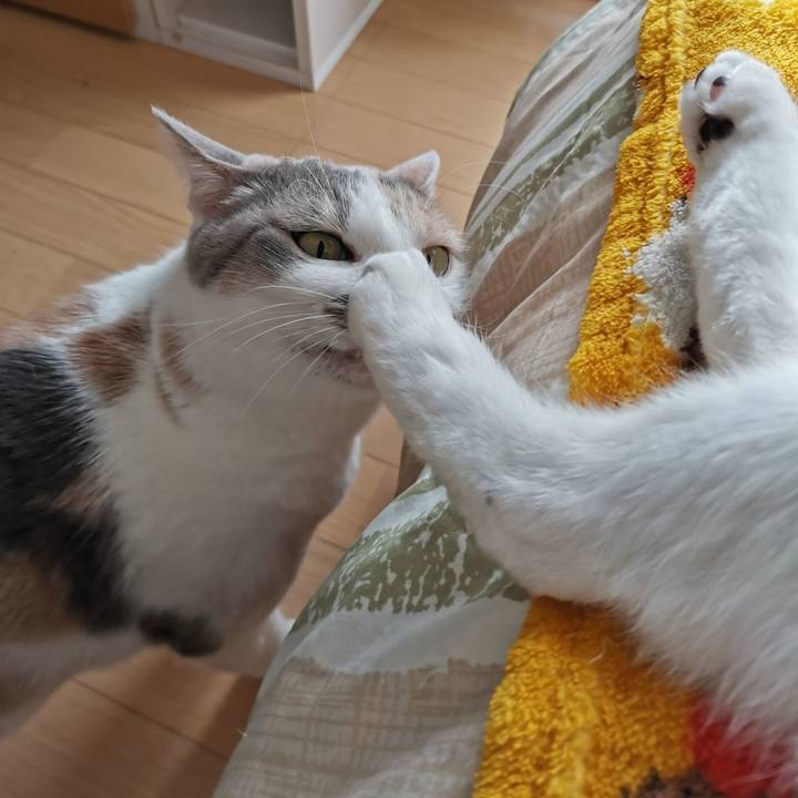 2d019613 3de3 4160 96b5 48de2b875397 1673251360205