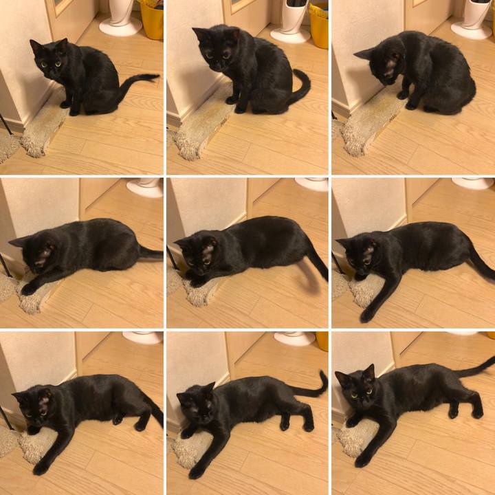 2d01b04a 767e 42a6 be13 25bda949f6ff 1563370202088