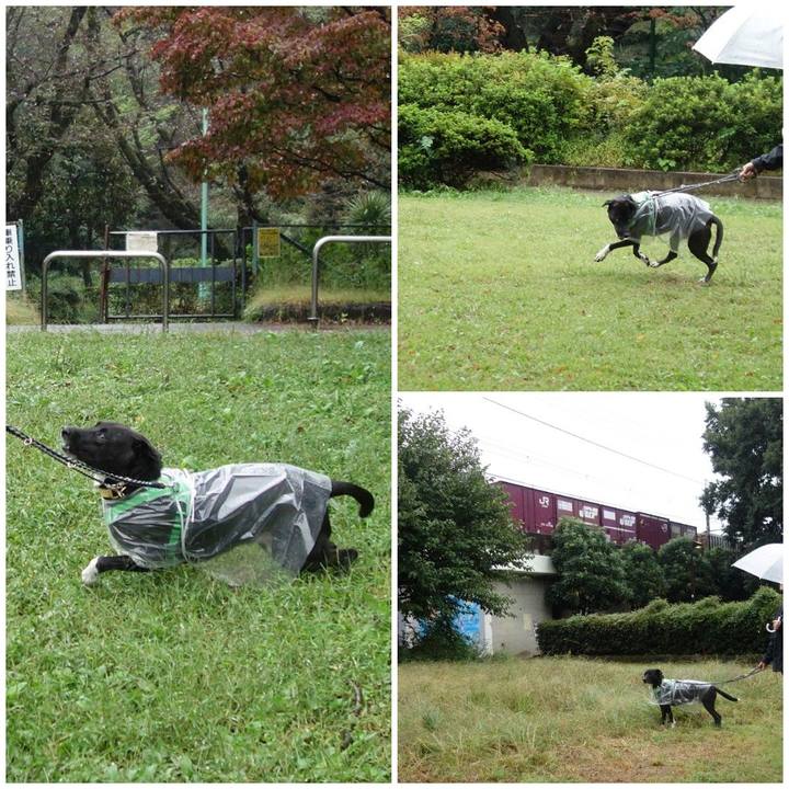 2d01bfb6 6e67 47e9 a637 5a17b0d35e06 1602113808972