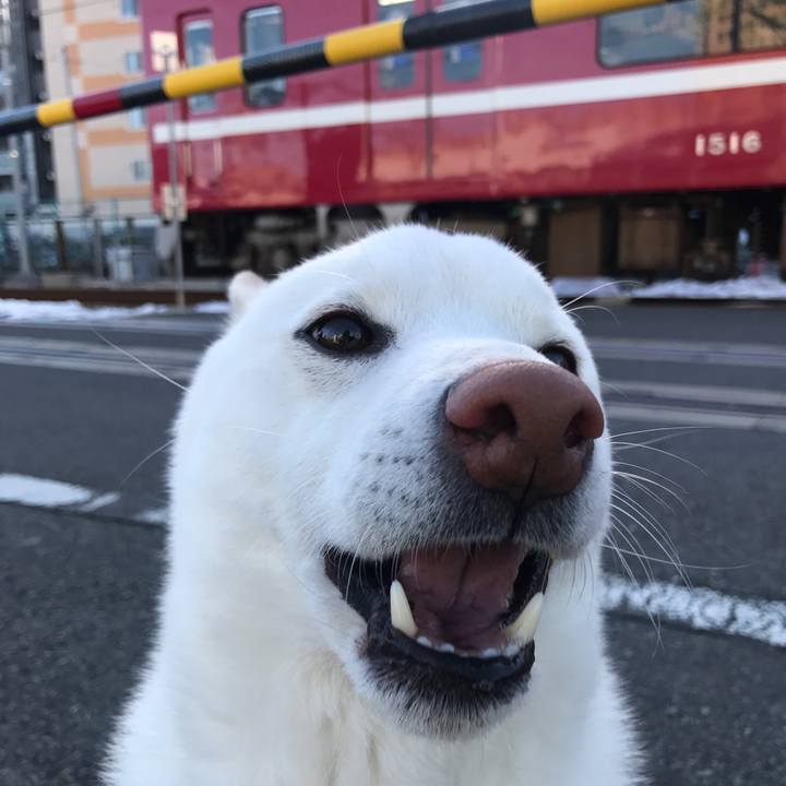 2d02a68b cde2 4e42 bbcb b699126a3f3c 1516837157166