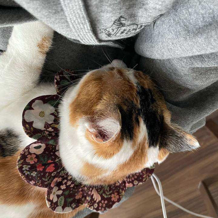 2d02b0e9 e2ba 48d7 aa11 29a683978aa0 1742102075594