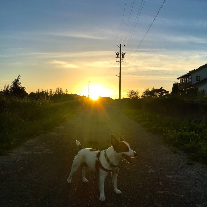 2d02e47c 8aff 4f05 ad8c 85aeaa2d6e5f 1534937736274