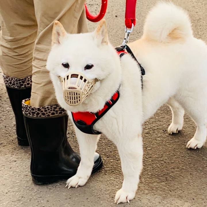 2d032b7f 1fee 4804 9cc8 6939f9beab4b 1678227996292