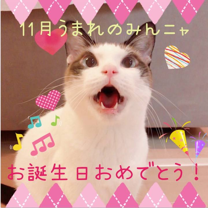 2d032e67 684a 423a 82a0 6ebdd0610ce2 1574245261551