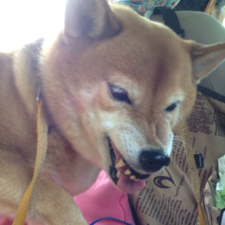 2d0340bc 6827 4f1f a565 7dd8f5fa12bd 1542782354782