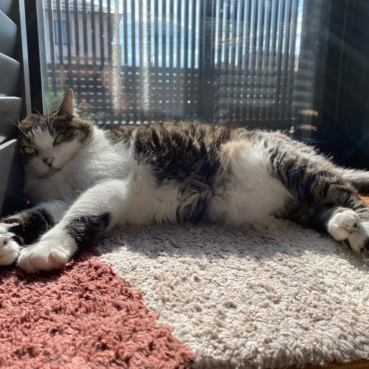 2d035d78 2c50 4032 a76a 677a051100d1 1750544771505