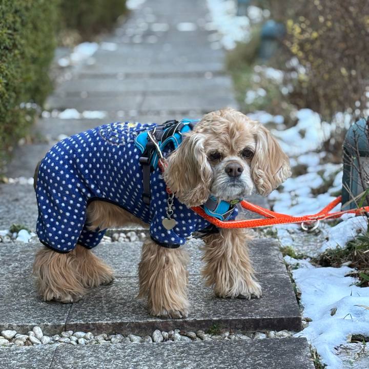 2d03691e 8508 42c4 bcc4 06b18d115d7f 1770718512849