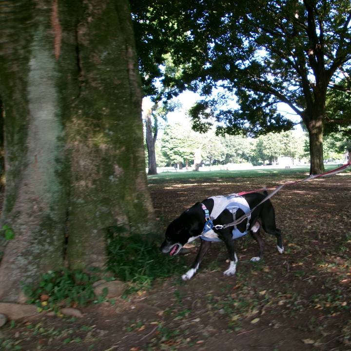 2d03921e 90cf 416b 9106 ded46ce38f4e 1753920399936