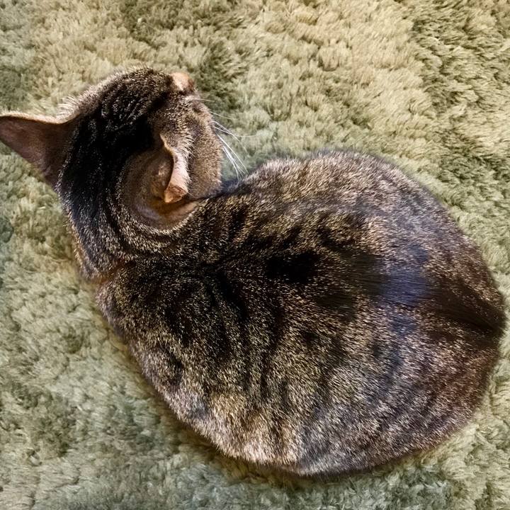 2d039d6c 77dd 49c9 9266 dc3ea1ec4771 1521808515231