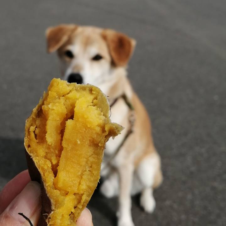 2d03b92b 13b1 435b 949f 8c98891ca824 1579919306871