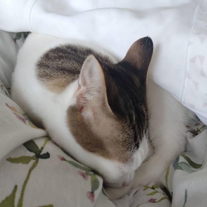 2d03cfd6 3894 4945 b447 3e59b4ed06b1 1704002666462