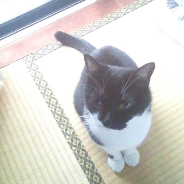 2d03df94 dde7 476c b794 edd29c537b19 1532052955431