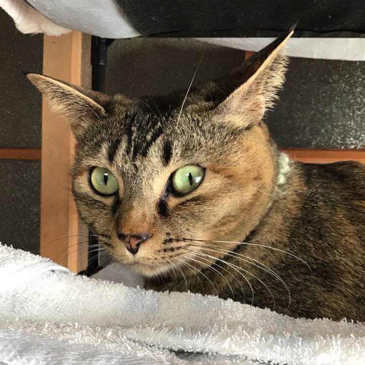 2d040e94 b73f 4f8a 8e51 989a1d9c0d57 1645667310467