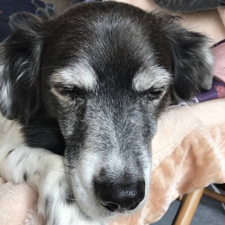 2d042d19 81a5 460d b844 74b229c0fc75 1551517807526