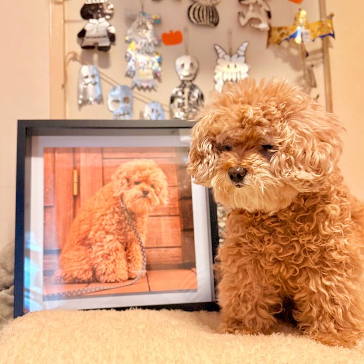 2d042d92 b01f 4eb7 9f5e dbb556475c4a 1764122448869