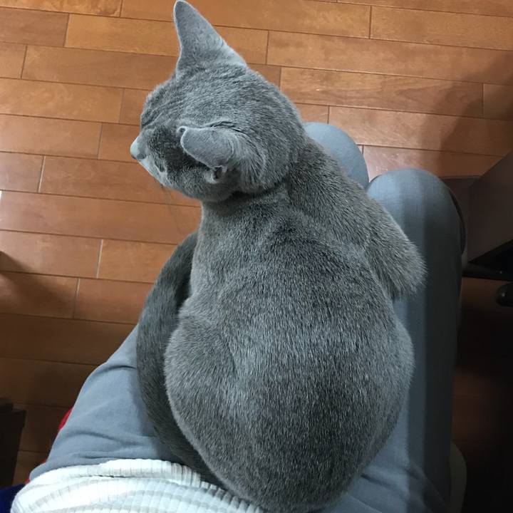 2d043dc3 bf8a 4736 8ae8 d9dab05e9873 1521889448739