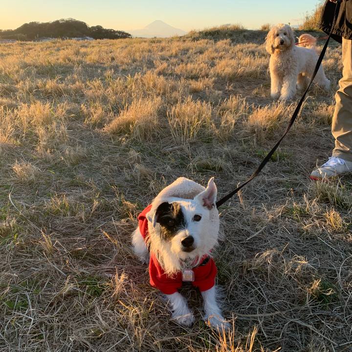 2d04697e d9b5 466a b59d 9b8672fd8856 1671090096159