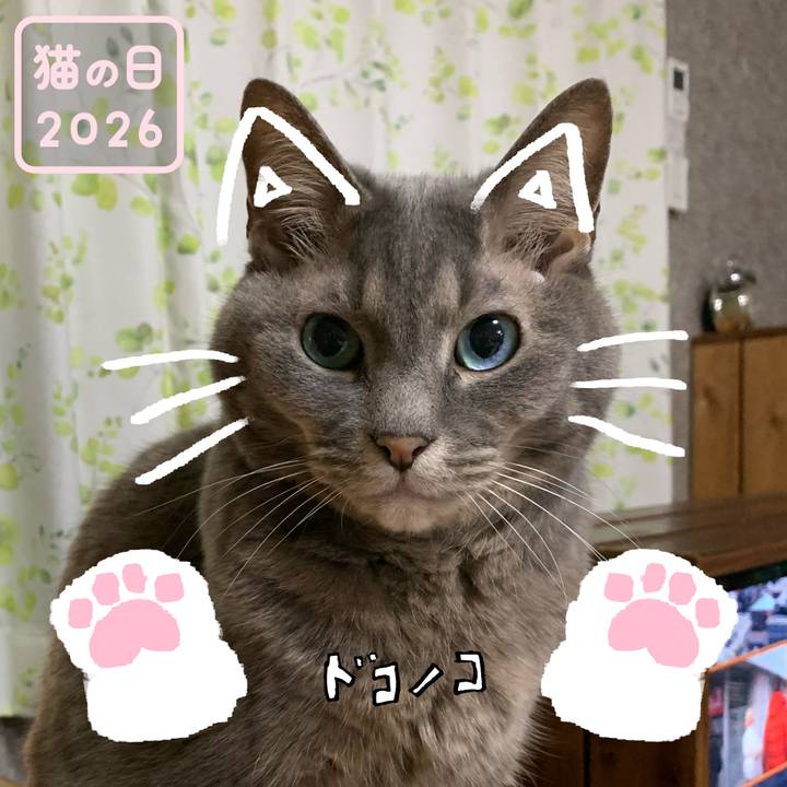 2d04898c 1961 4054 bee7 822f70e12bd1 1771750519334