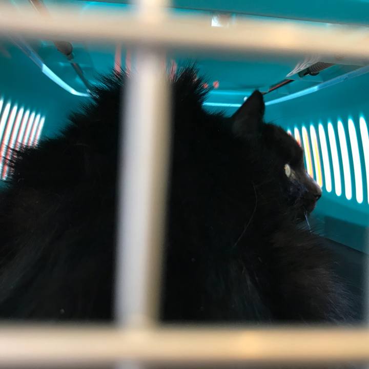 2d049cb6 0cc2 43c1 abfe af2bf72b211b 1521860698045