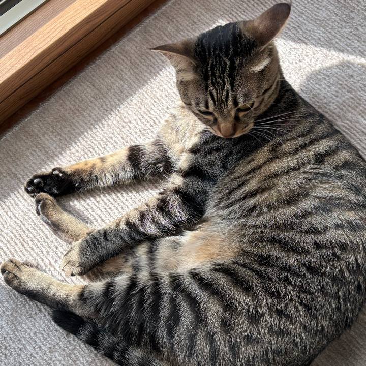 2d04b0ce e579 4c8e a302 1f20c4ae5a6b 1769565182450