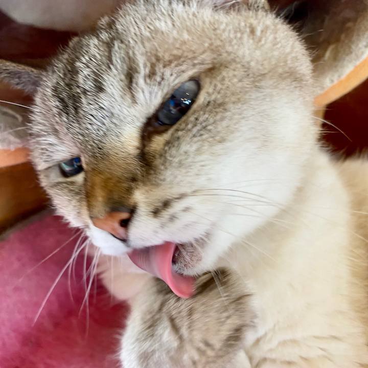 2d04bfd2 3327 4b39 803b 77263ef97161 1597118857662