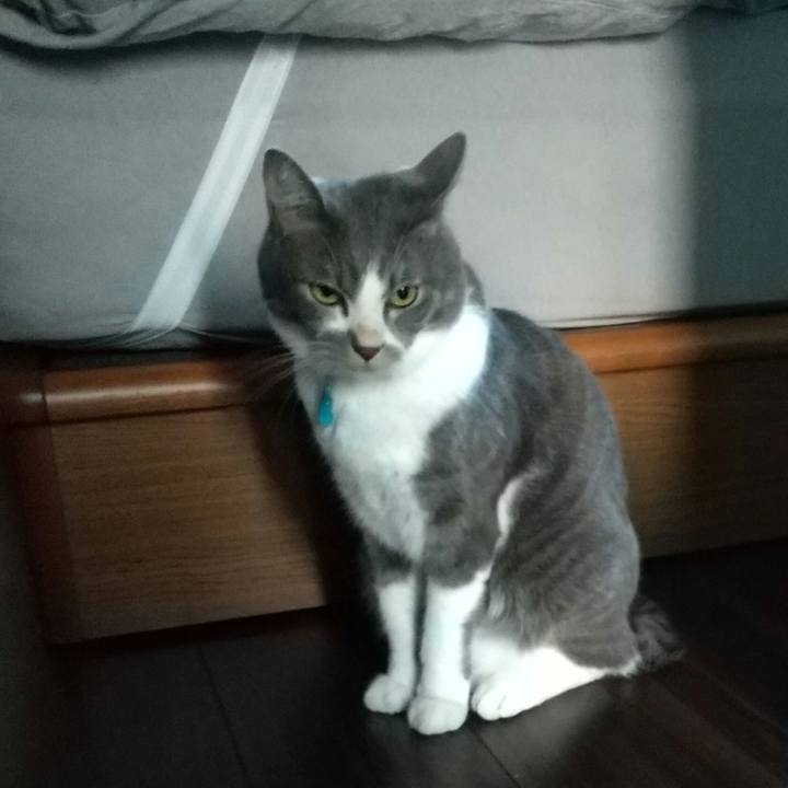 2d050c90 9d15 49ac ba20 ffc013d39611 1635889652940