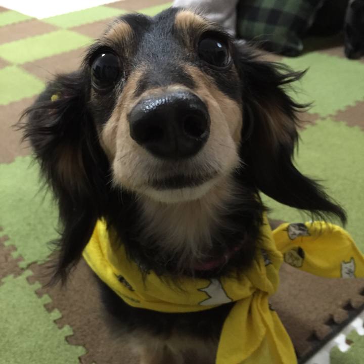 2d0543ac 5c5c 43e7 98fa 19c164fdd7d5 1521678142194