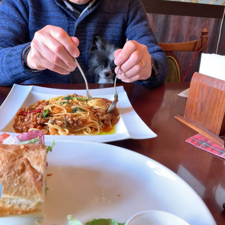 2d055620 135a 424f 8a3e cbaa2cd68593 1584932219434