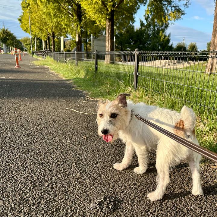 2d0563f5 7494 473d a193 f28fb7de1817 1759263789130