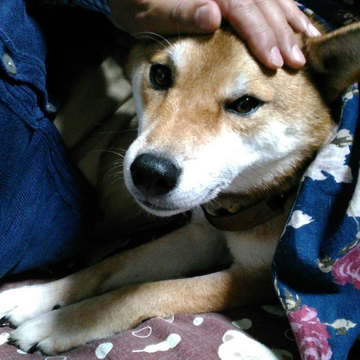 2d05b371 5895 459c 884a 993c6a1422c2 1509879587605