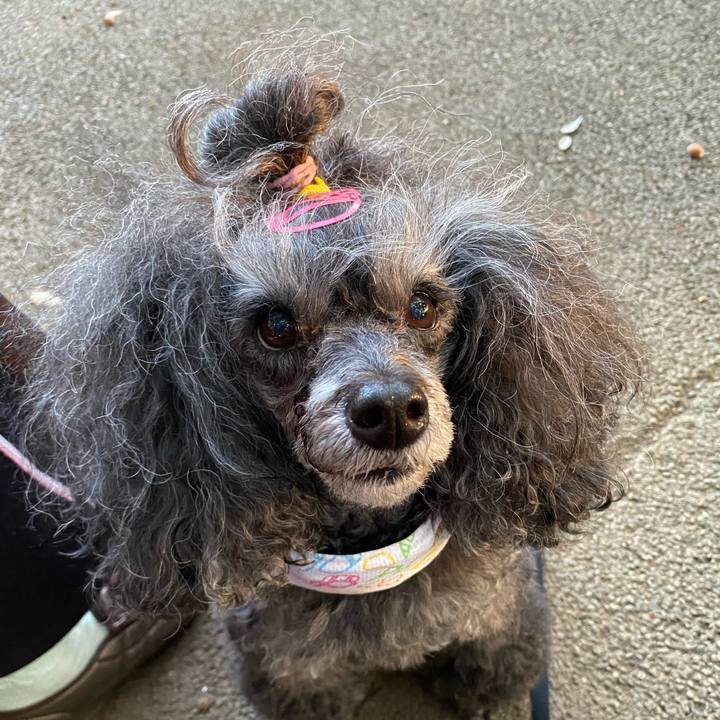 2d05c3ae d481 448c 984d ca046bda5f20 1758146643010