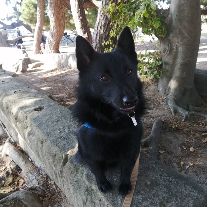 2d05d131 1ab8 4487 843d 1cffa5402590 1633219133319