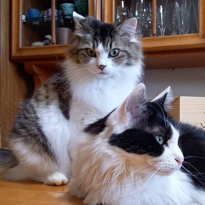 2d0612f6 7773 40c3 95e5 58b2a07c720c 1642315736033