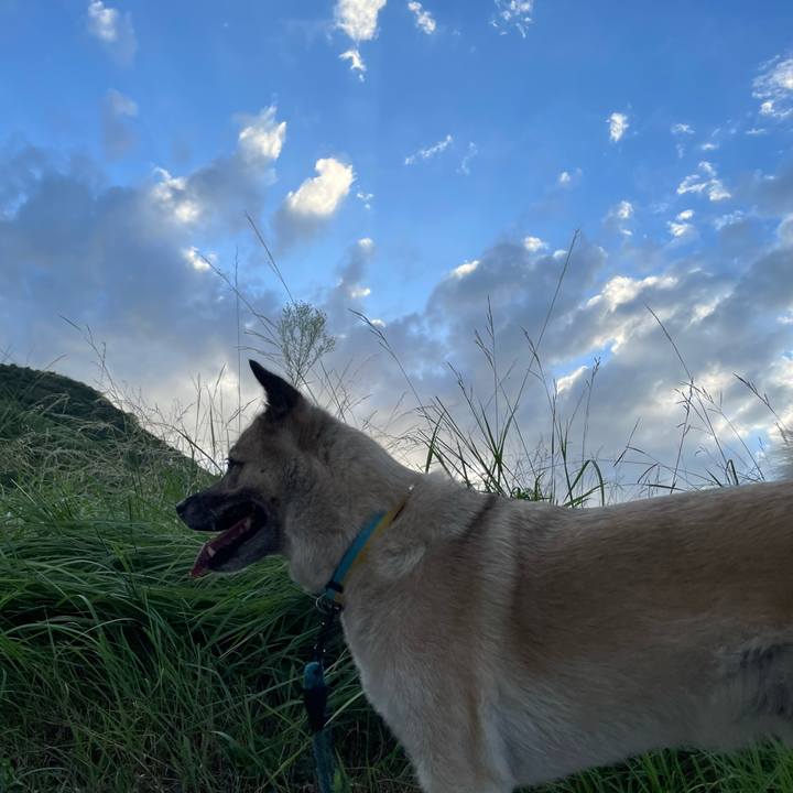 2d061aaf b5e6 4bb7 bc68 d4a72460ba35 1693310506368