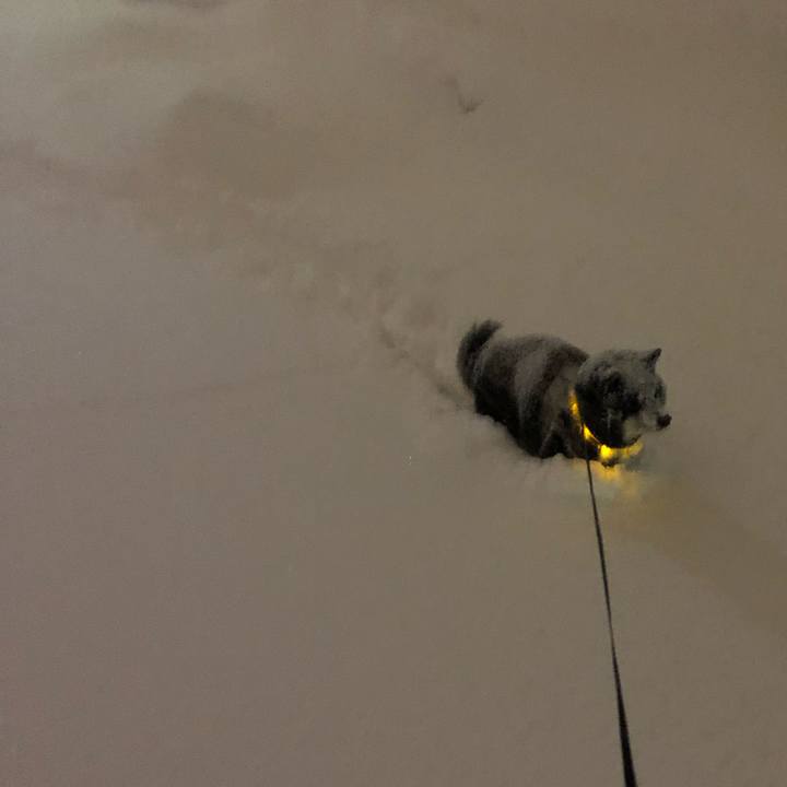 2d065f5d 6b59 4ce0 bb16 75790d170aba 1614202075843