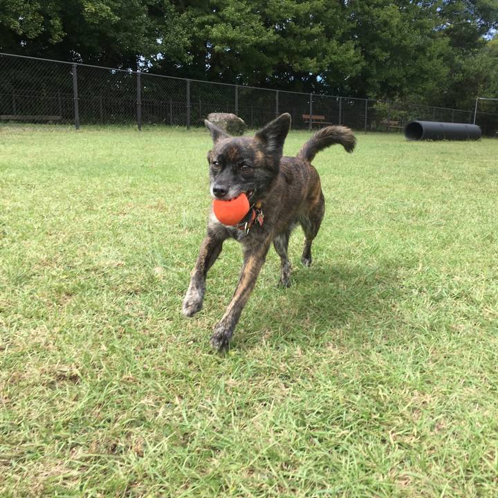 2d068a25 c0a7 4c2d a63f 7b99b46bfbba 1508749990651