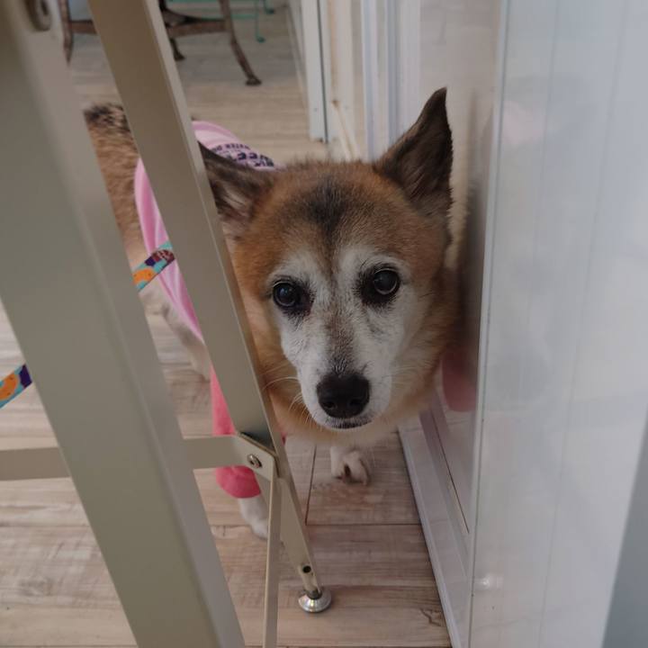 2d068d49 a3a3 419f 9a25 cfab4e0d5276 1707540462903