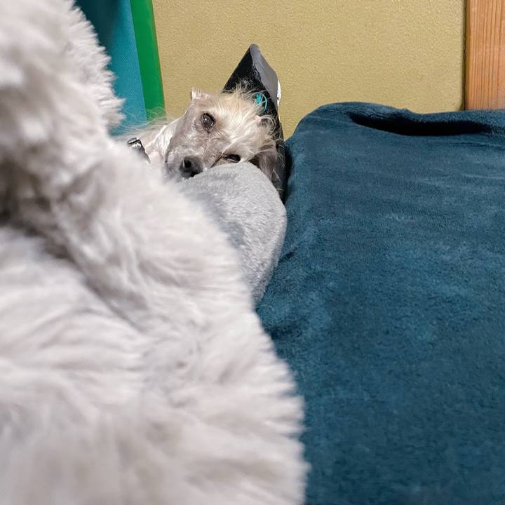 2d069055 ca68 4cac ab37 e5fab7c8ccc6 1773566070060