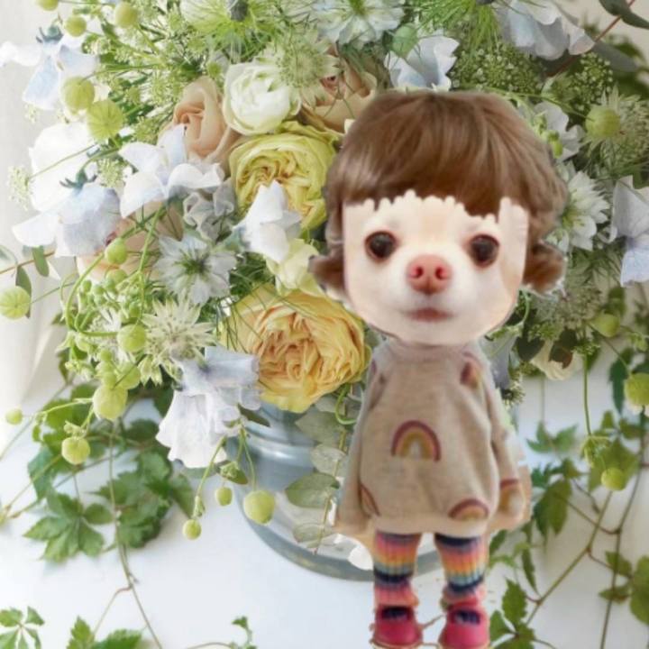 2d06e7e9 6bef 4cd5 b20a bd7b6b6c646a 1706795791798